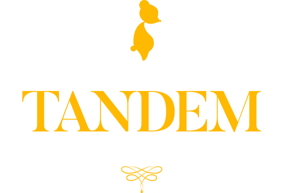 Tandem: A Tale of Shadows preview